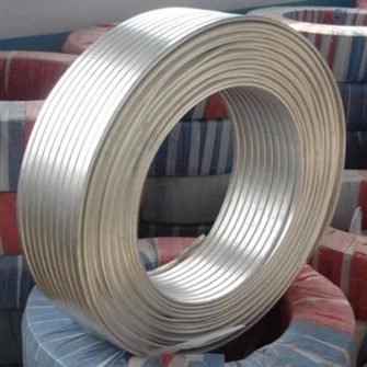 Magnezijev trak anoda